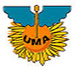 Ubah Medical Academy Logo